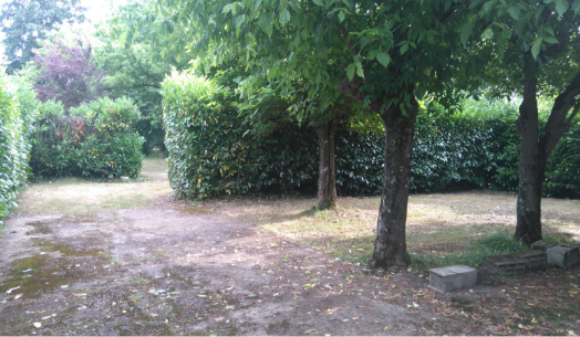 une photo du jardin